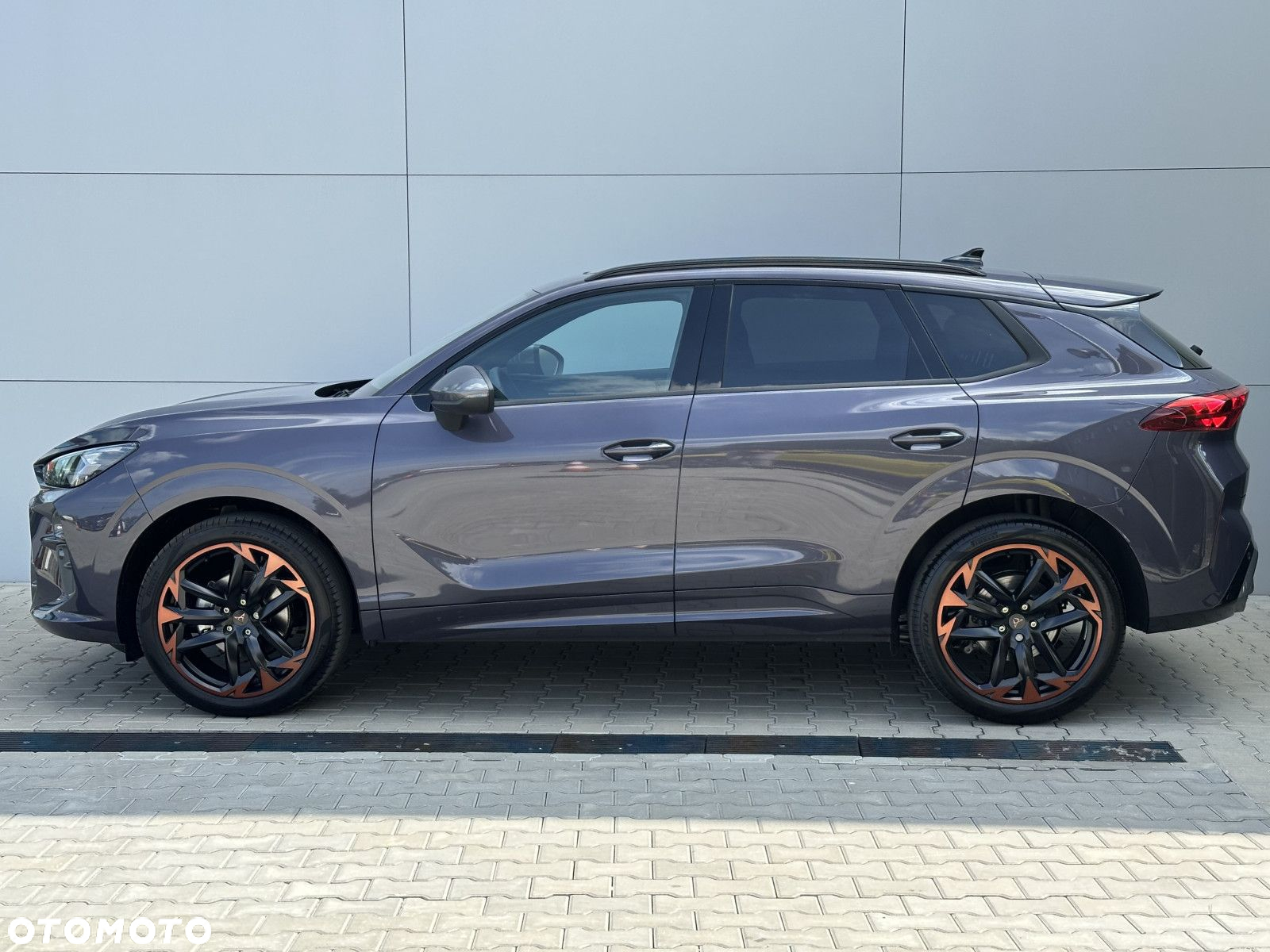 Cupra Terramar - 7