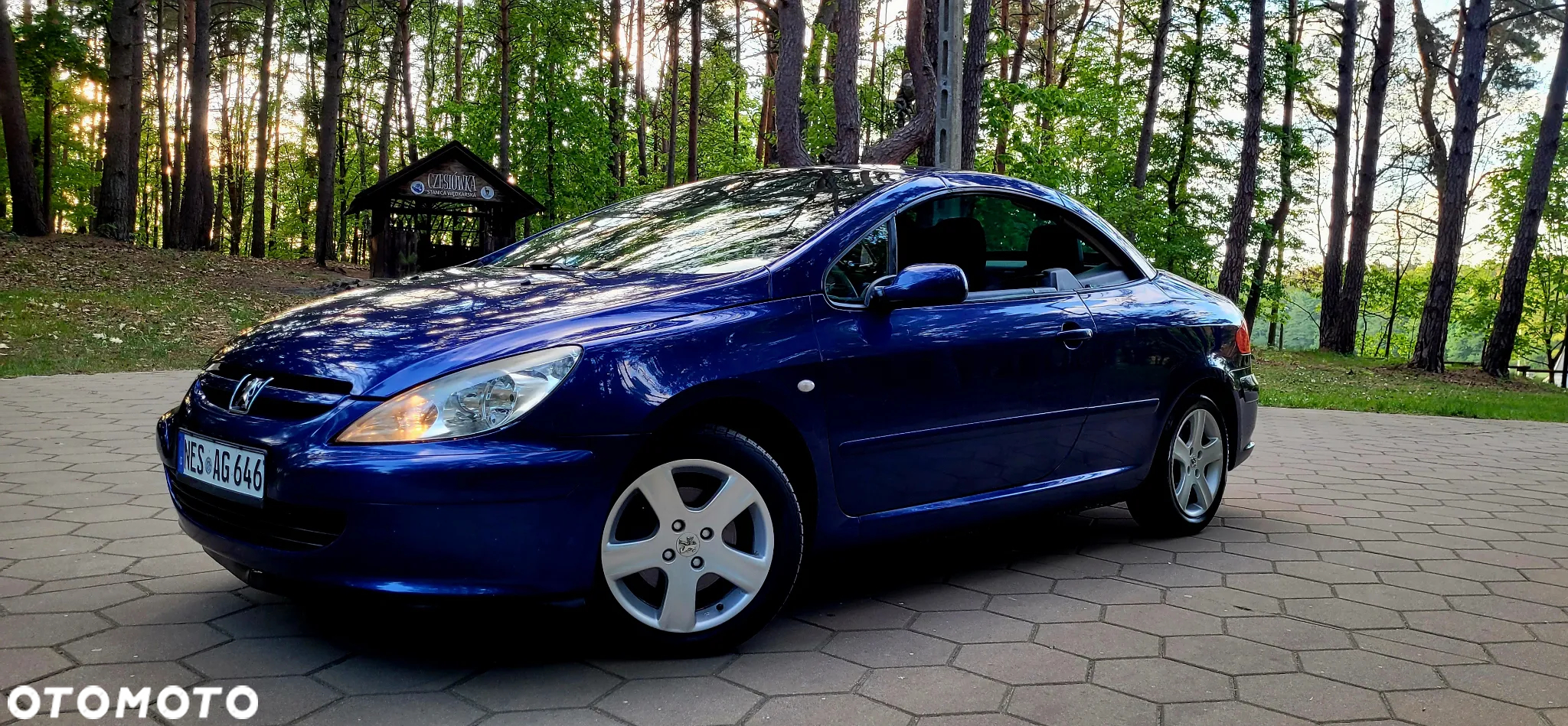 Peugeot 307 135 Sportline - 17