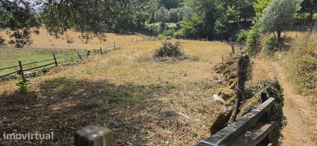 Moradia para restauro, com projeto aprovado - Pinheiro - Grande imagem: 5/21