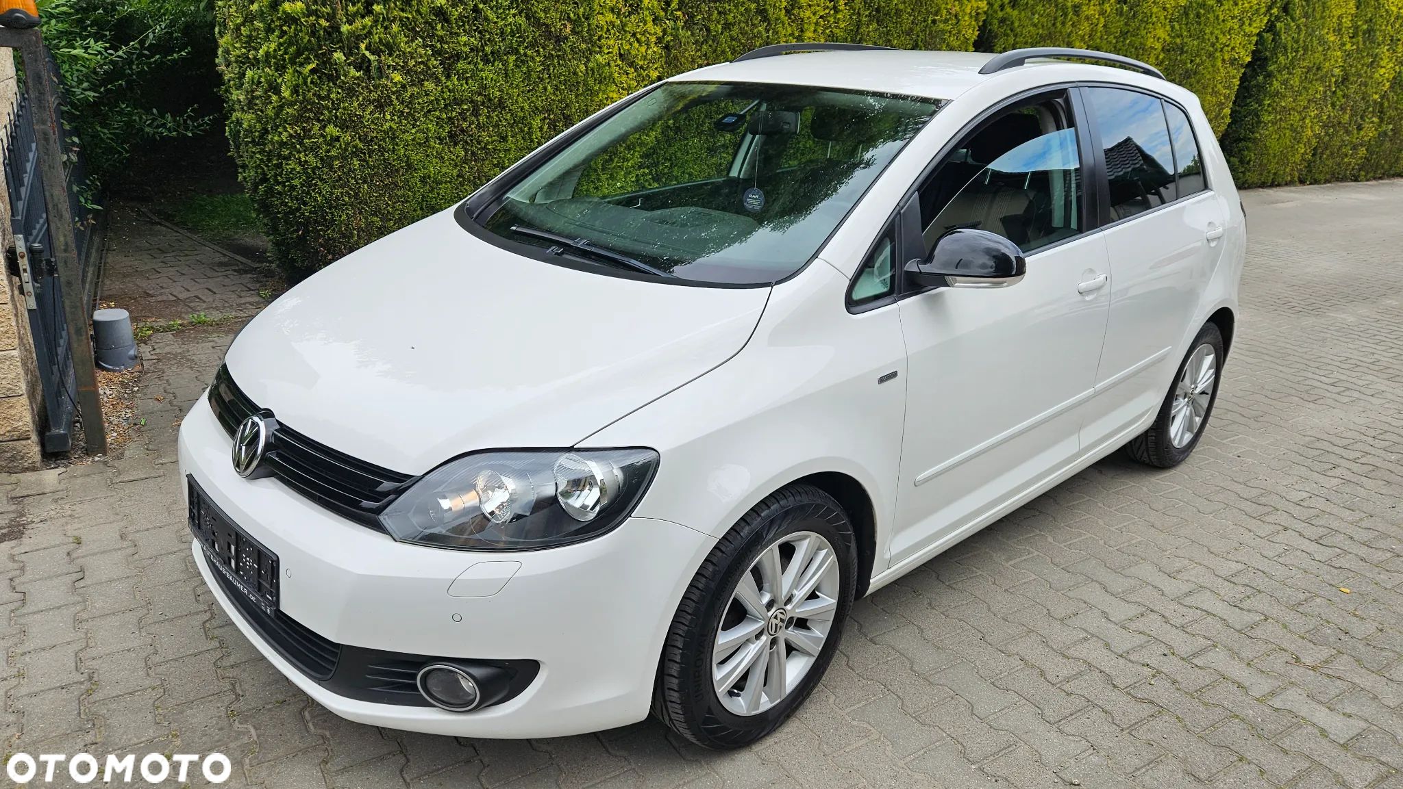 Volkswagen Golf Plus 1.6 TDI DPF MATCH - 1