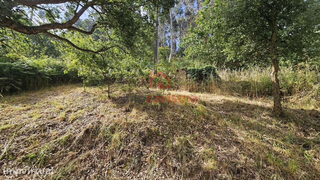 Terreno para construção com 1.006 m2 em Roriz, Santo Tirso - Grande imagem: 5/6