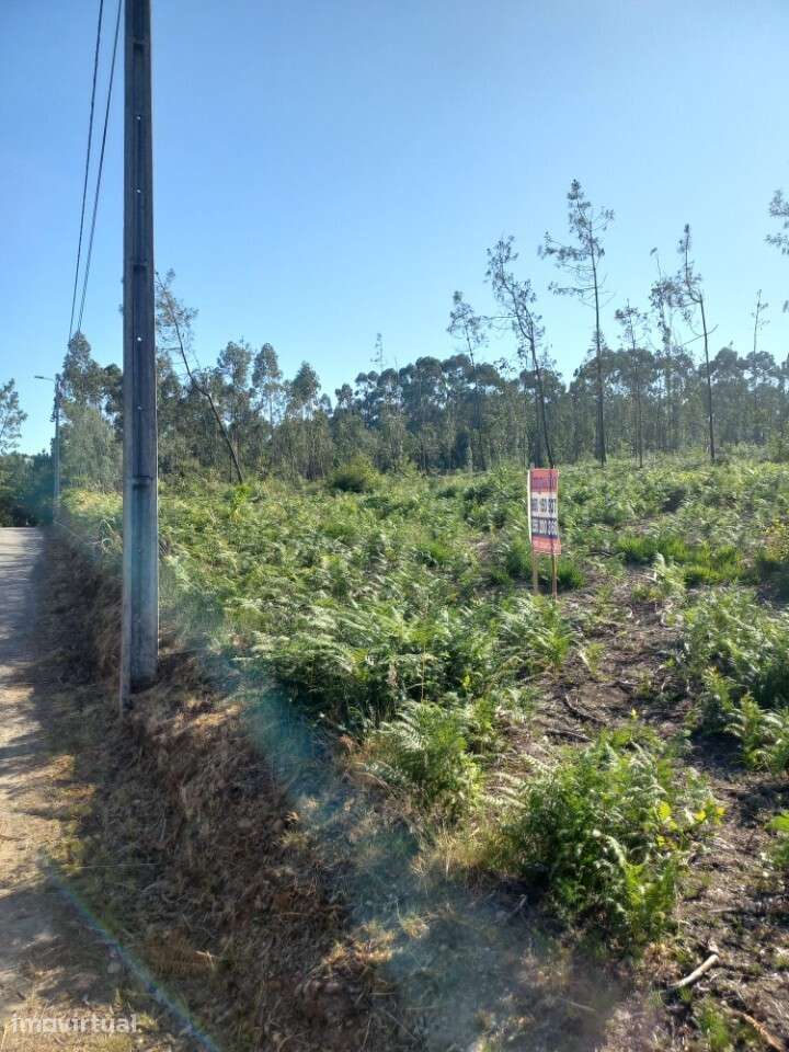 Terreno Rústico com viabilidade construtiva em Escariz. - Grande imagem: 2/2