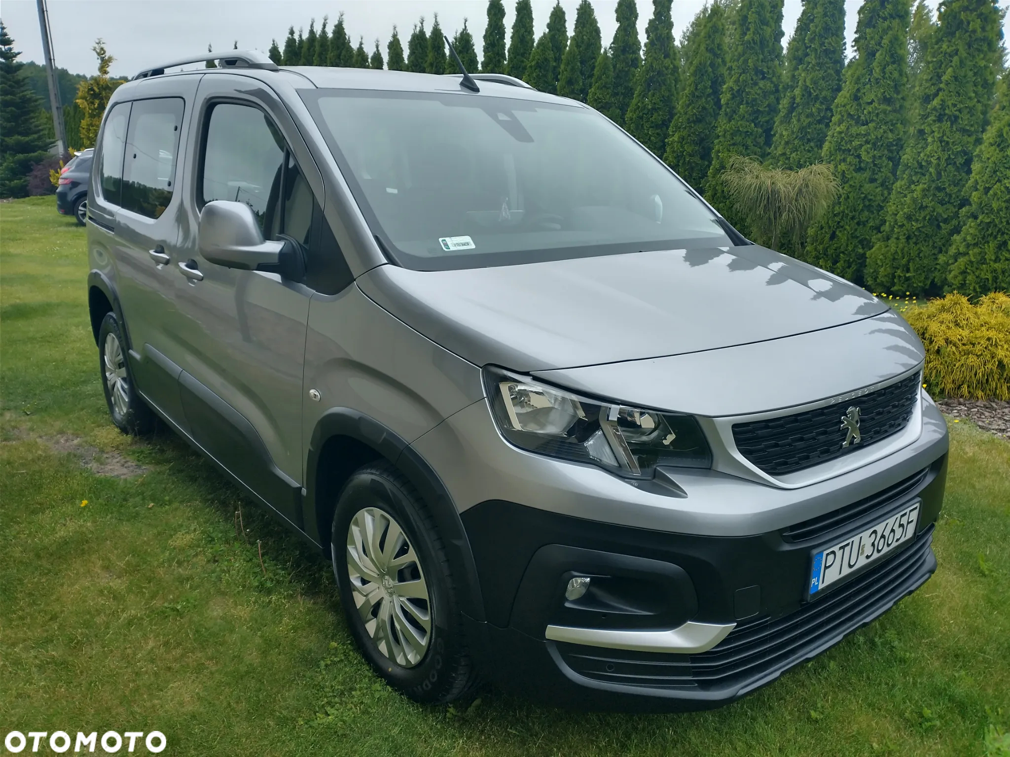 Peugeot Rifter - 4