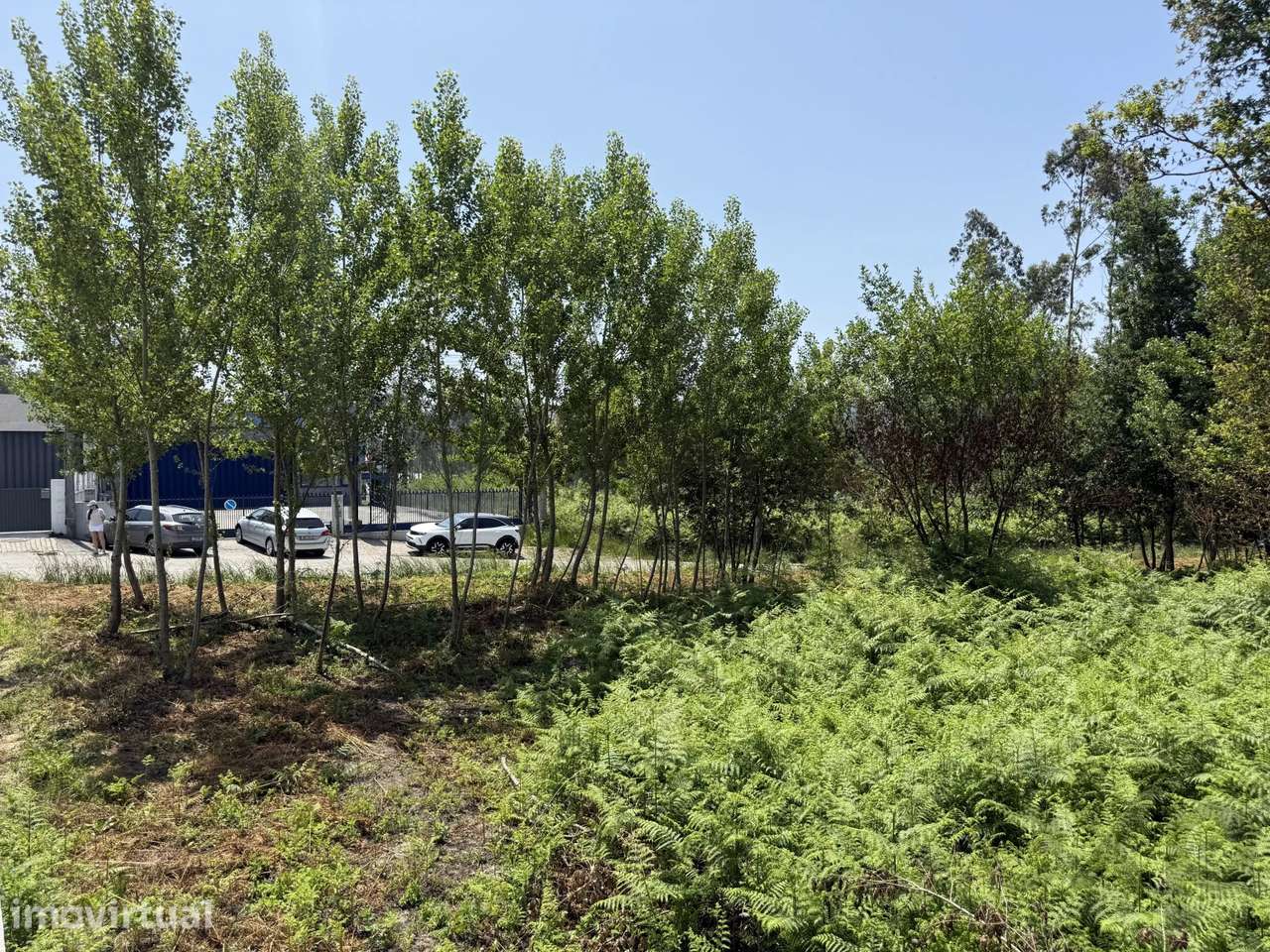 Terreno plano para construção - Grande imagem: 2/5