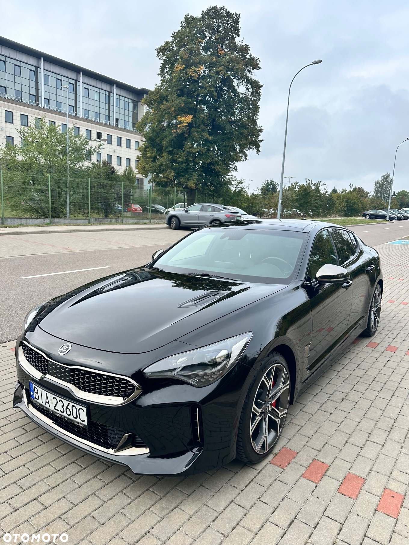 Kia Stinger 3.3 T-GDI V6 GT AWD - 5