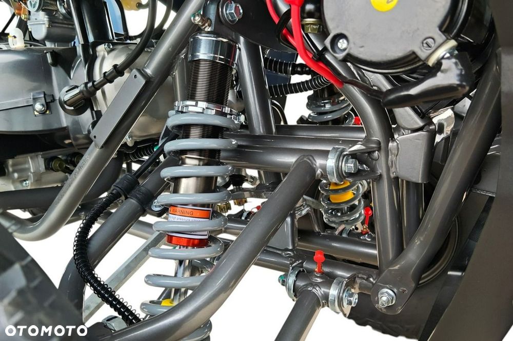 Diabolini Inny - 13