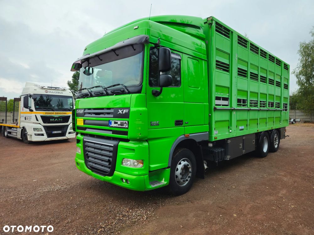 DAF xf 105 460 - 6