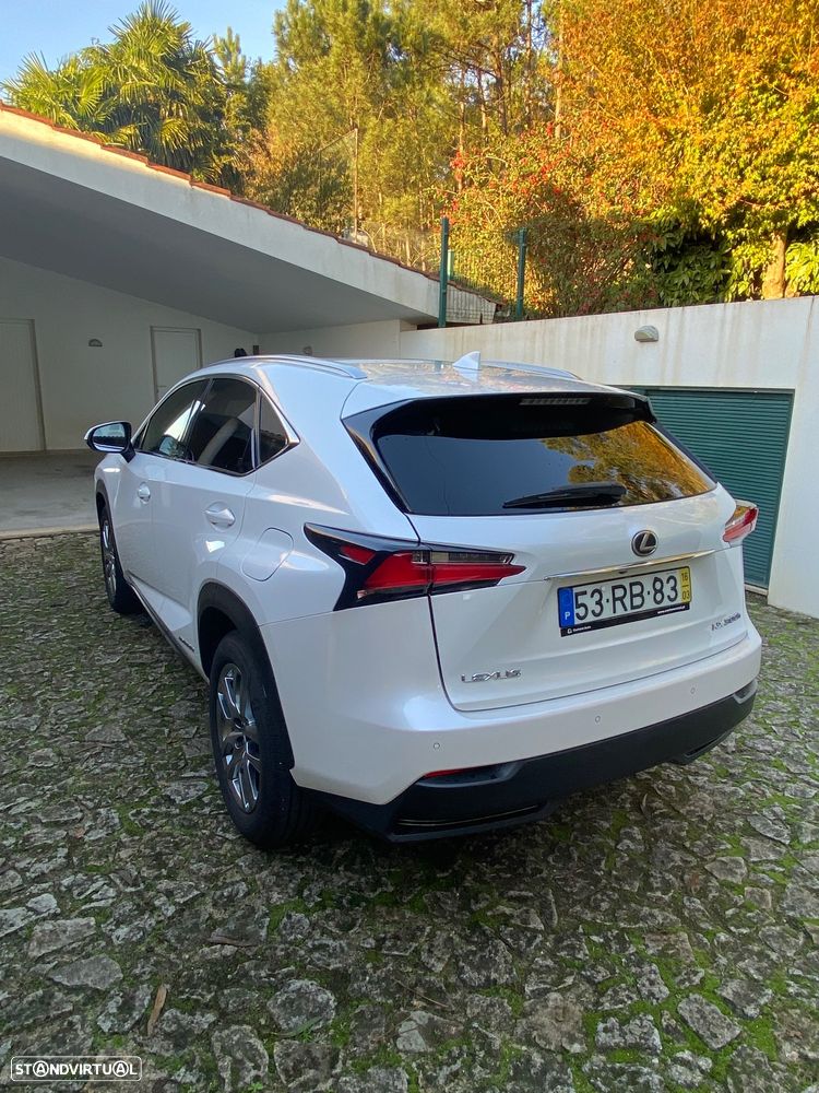 Lexus NX 300h Luxury 4WD - 7