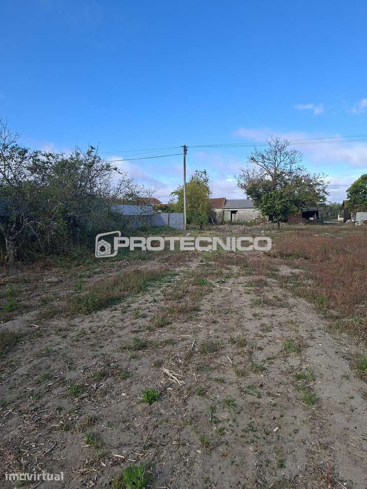 Moradia para Reabilitar - 2.000 m² de Terreno - Grande imagem: 3/4