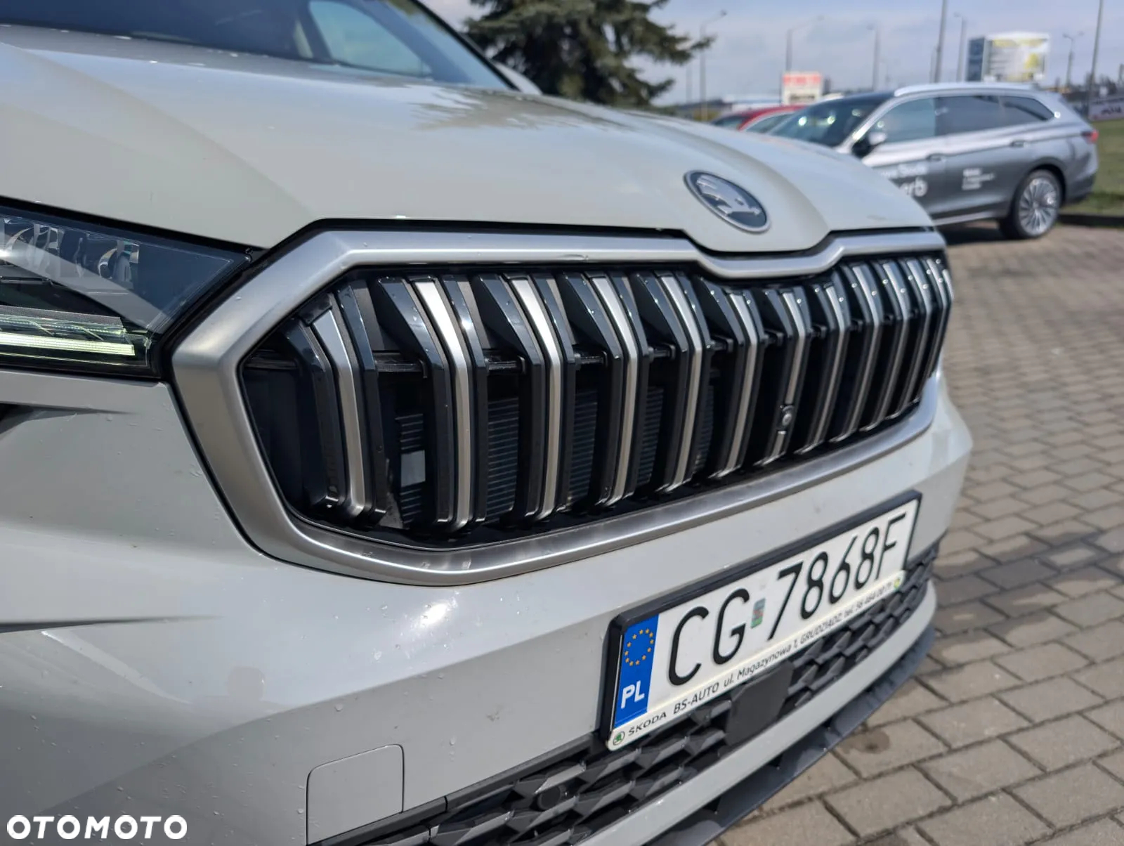 Skoda Kodiaq 2.0 TDI 4x4 Selection DSG - 6