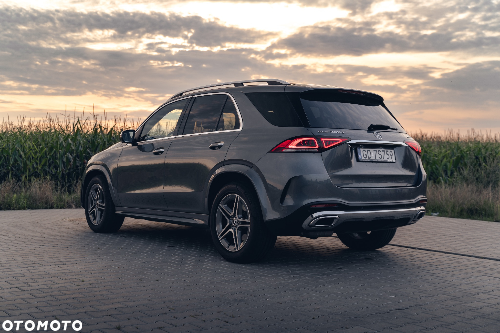 Mercedes-Benz GLE 300 d 4-Matic - 5