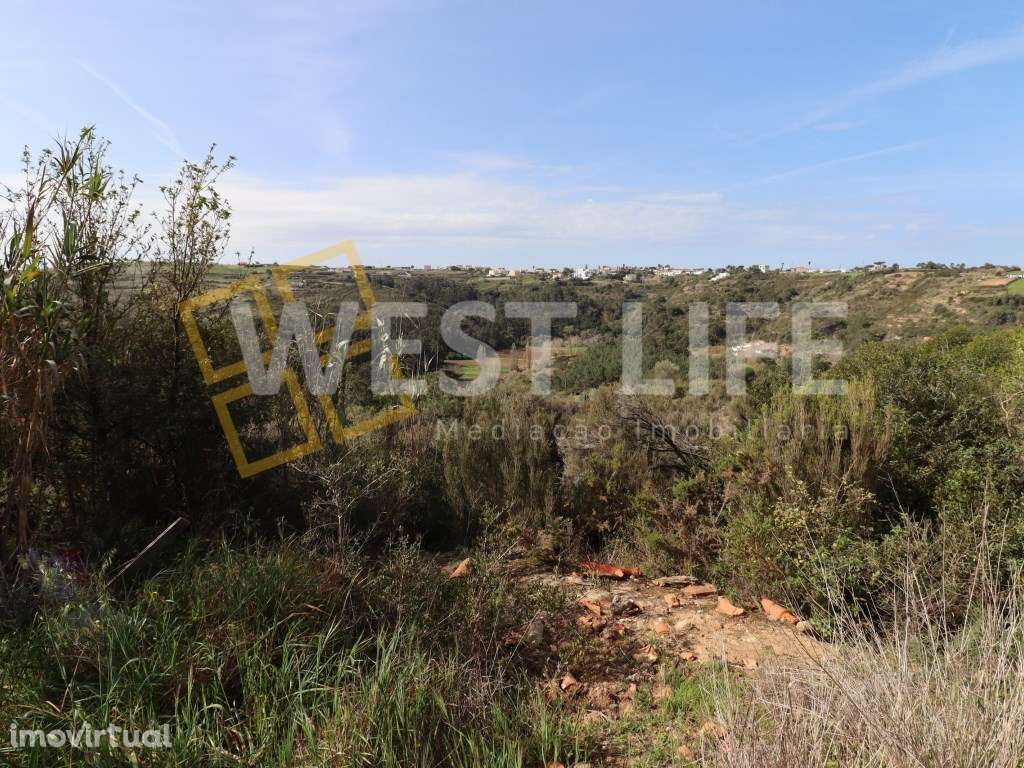 Terreno na Carvoeira - 2 Terrenos Rústicos com um Total de 9187m2 - Grande imagem: 4/12