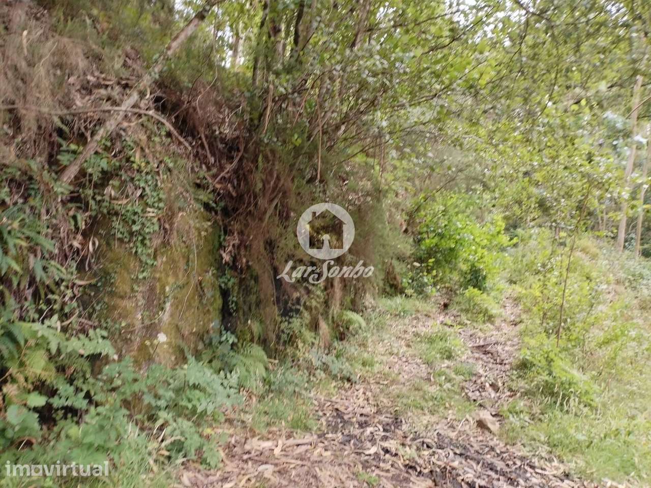 Terreno Caçarilhe Celorico de Basto - Grande imagem: 2/7