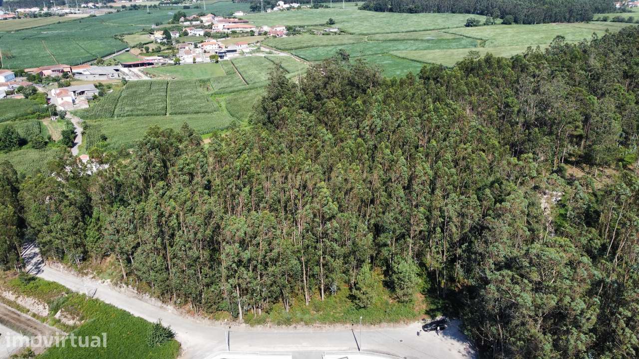 Terreno Rustico em Mosteiró - Grande imagem: 5/9