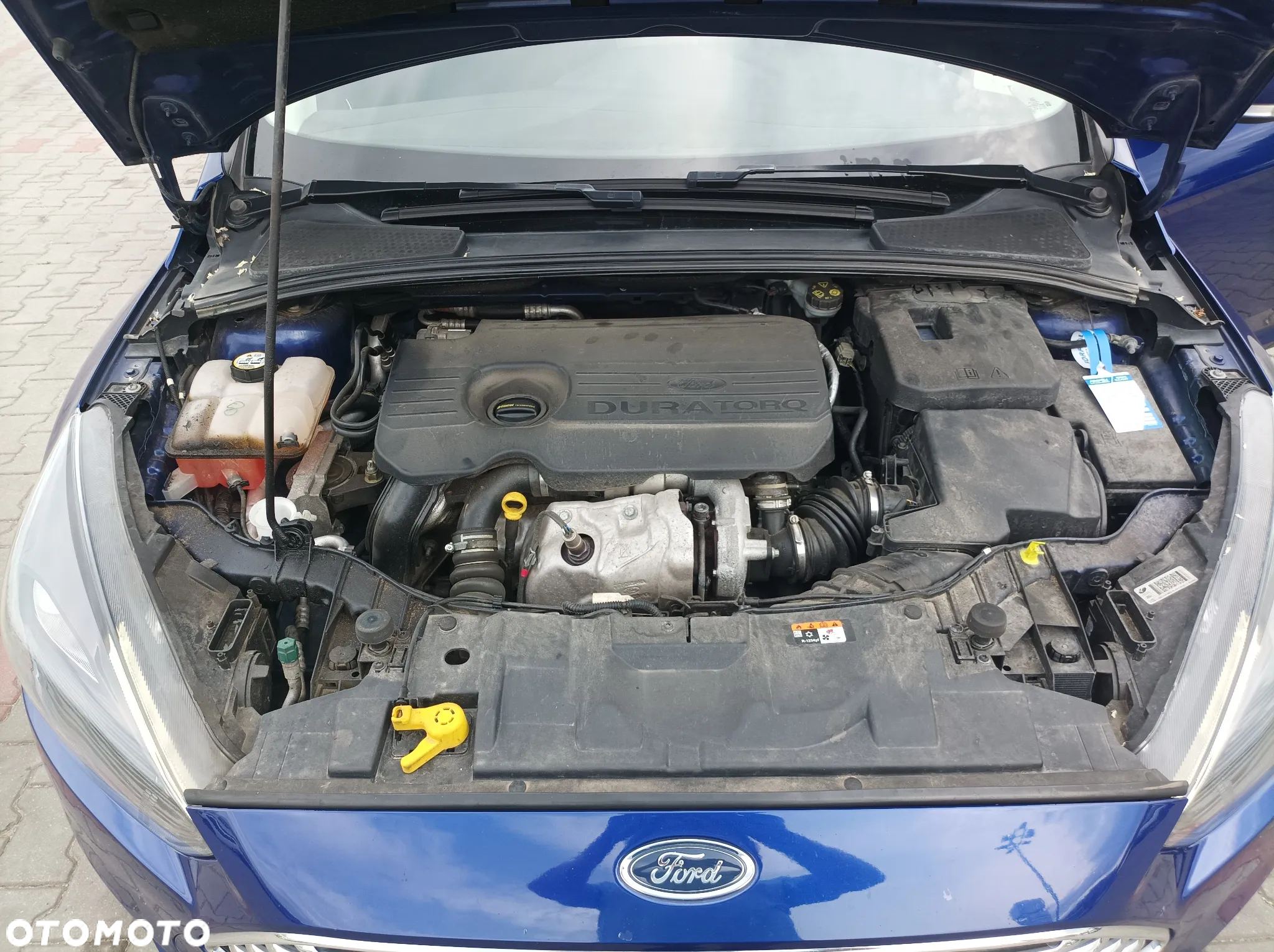 Ford Focus 1.5 EcoBlue SCR Titanium - 9
