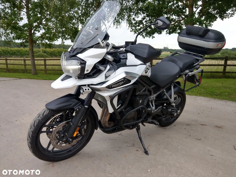 Triumph Tiger - 1