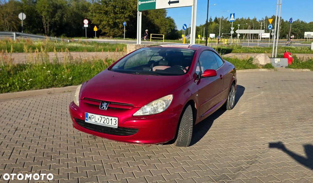 Peugeot 307 2.0 Sporty - 21