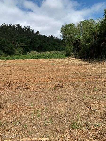 Terreno Agrícola com 9260 m2 - Grande imagem: 2/3
