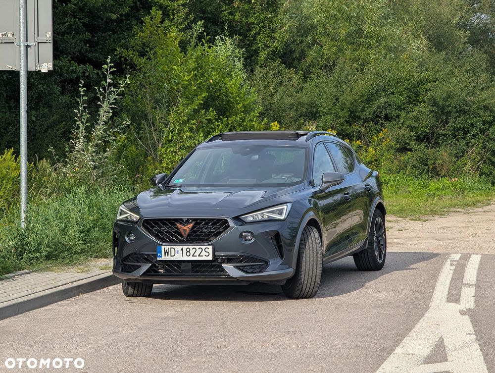 Cupra Formentor - 19