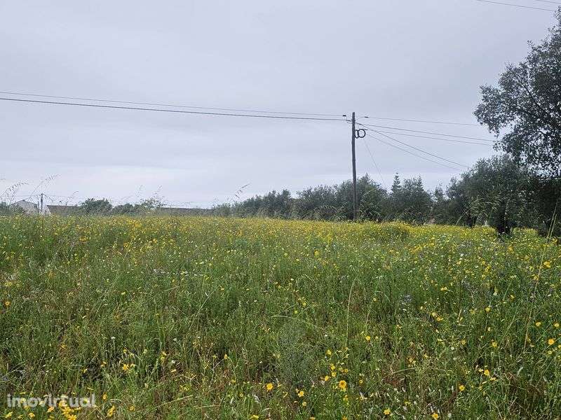 Casa com Terreno - Grande imagem: 2/3
