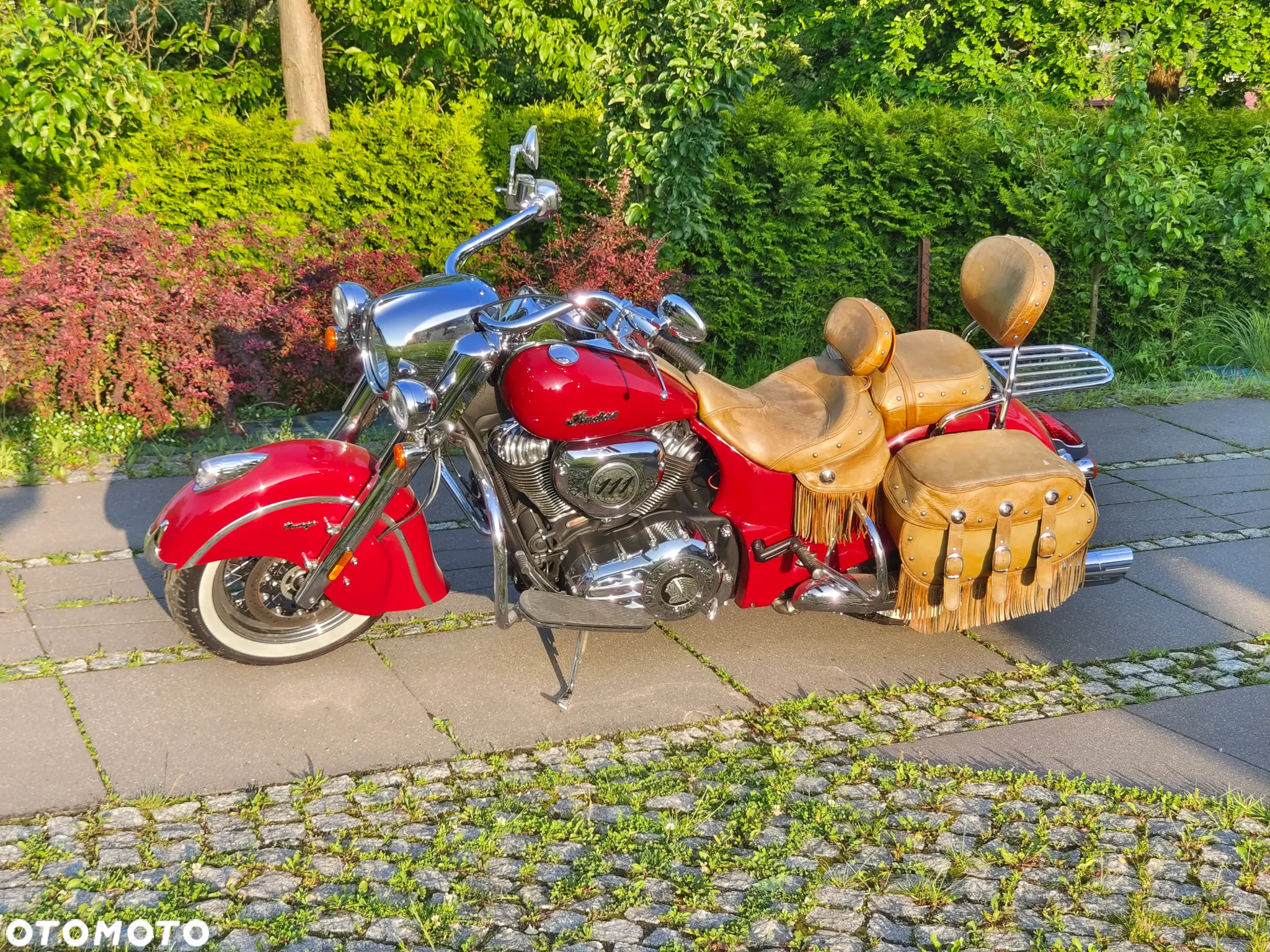 Indian Chief - 6