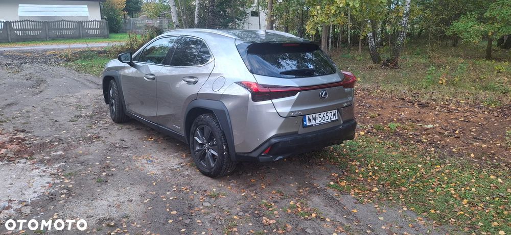 Lexus UX 250h GPF Omotenashi AWD - 6