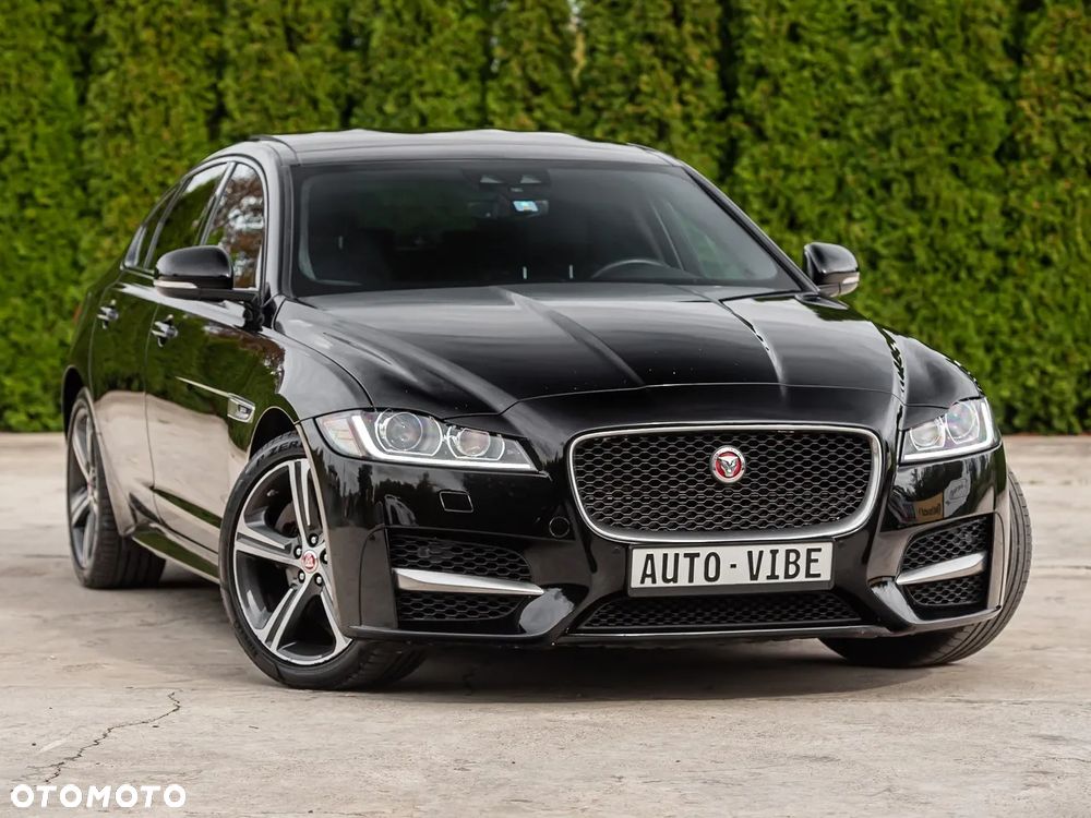 Jaguar XF P250 R-Dynamic BLACK - 2