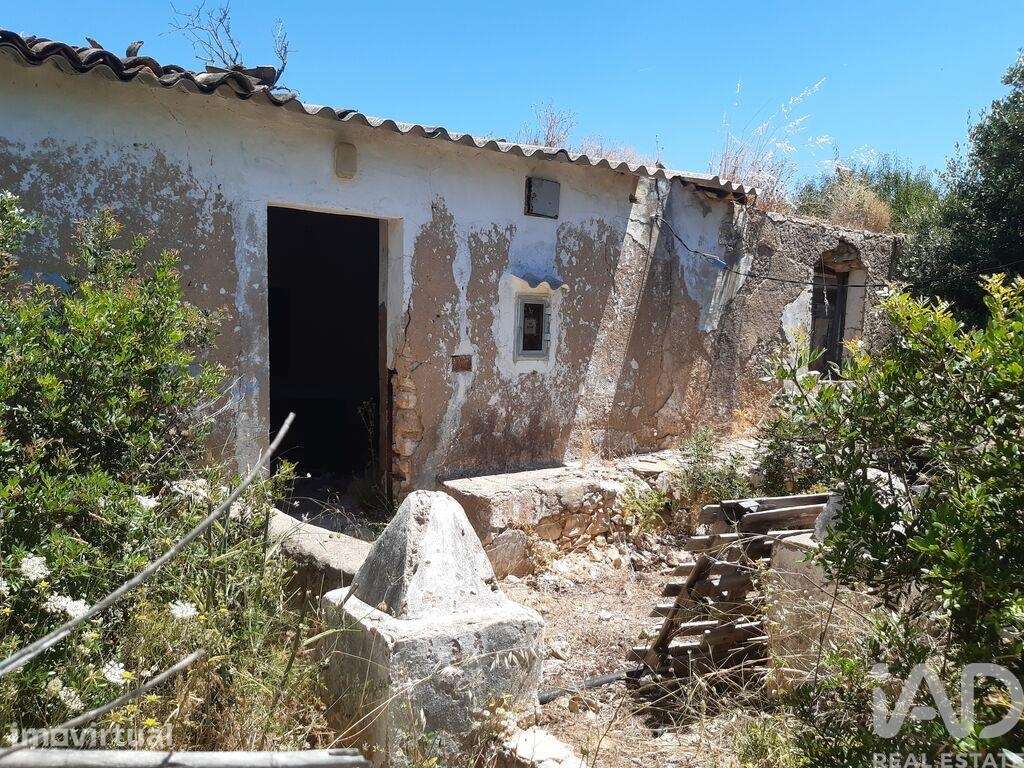 Moradia térrea em Guia - Grande imagem: 2/12