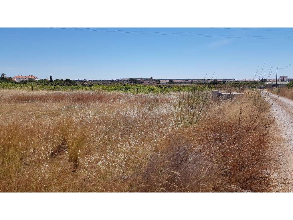 Terreno rústico, Vila nova de Cacela, Algarve - Grande imagem: 2/5