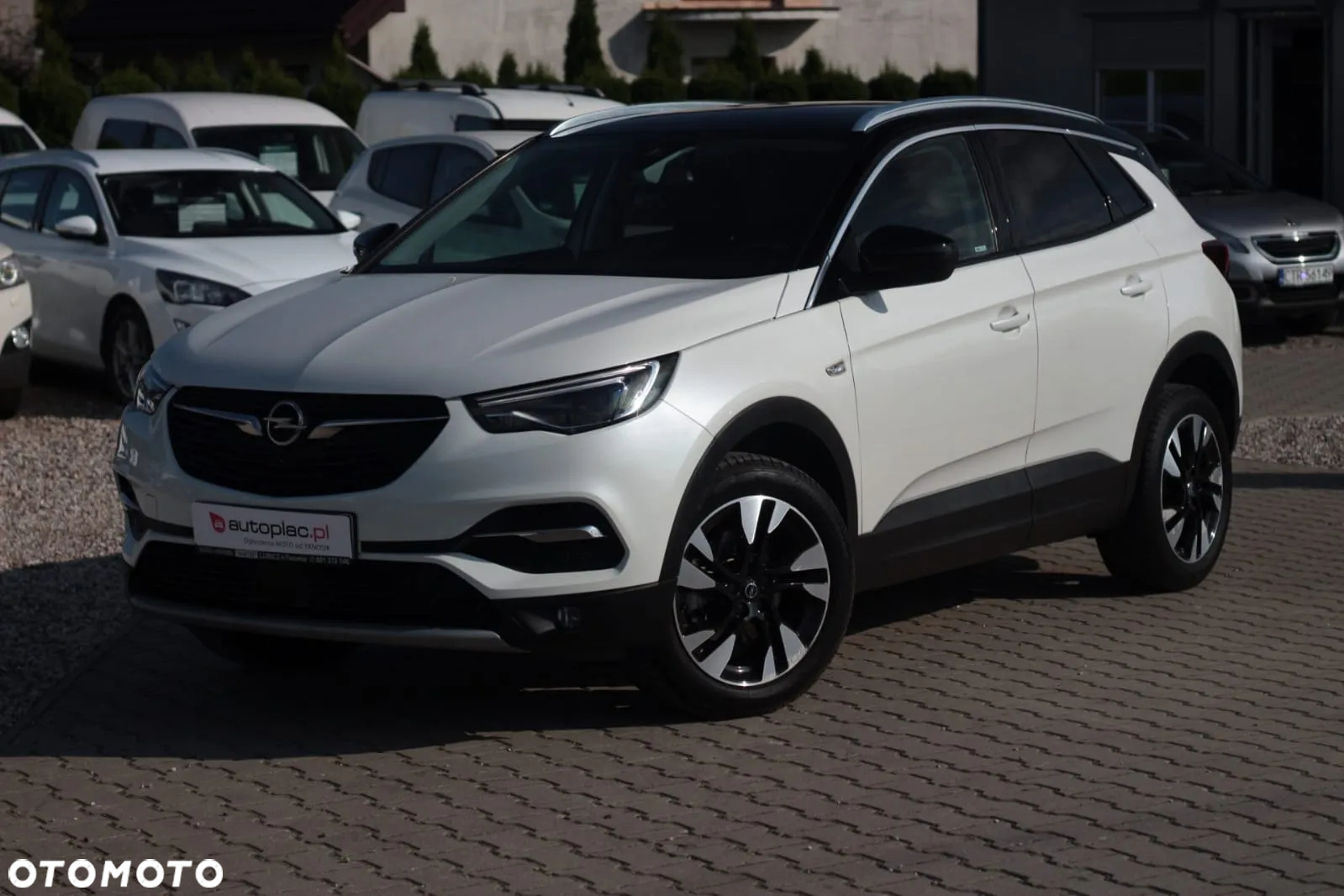 Opel Grandland X 1.6 D Start/Stop Business Edition - 2