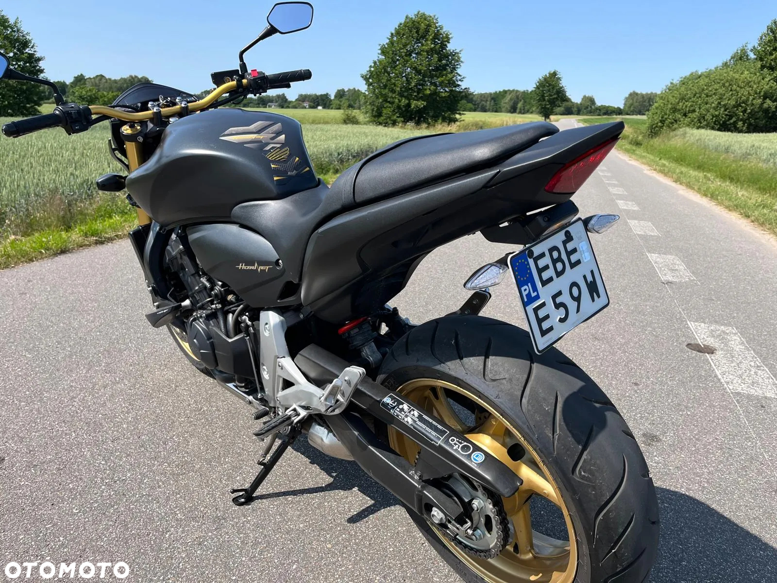 Honda Hornet - 10