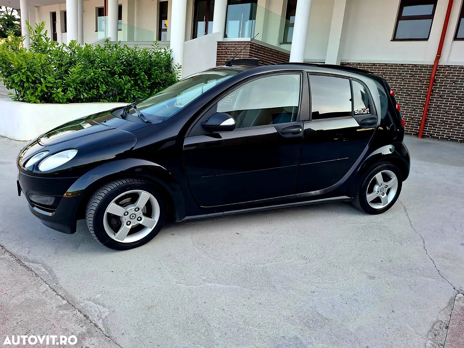Smart Forfour cdi softtouch passion - 2