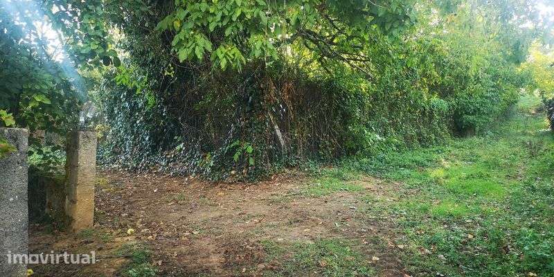 Vende-se Terreno Misto c/6500m2 - São Martinho de Anta (Sabrosa) - Grande imagem: 4/12