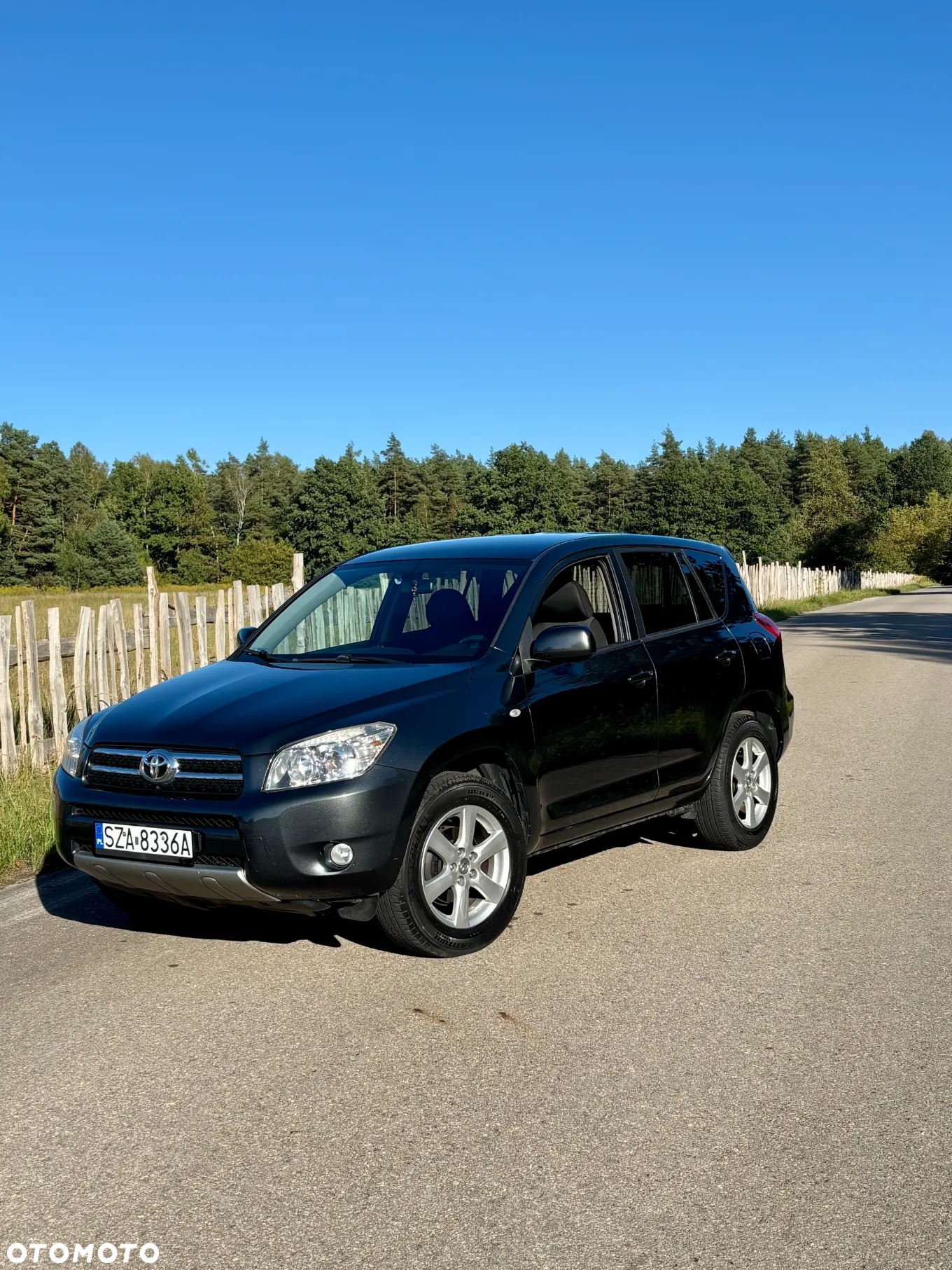 Toyota RAV4 2.0 VVT-i Premium - 2