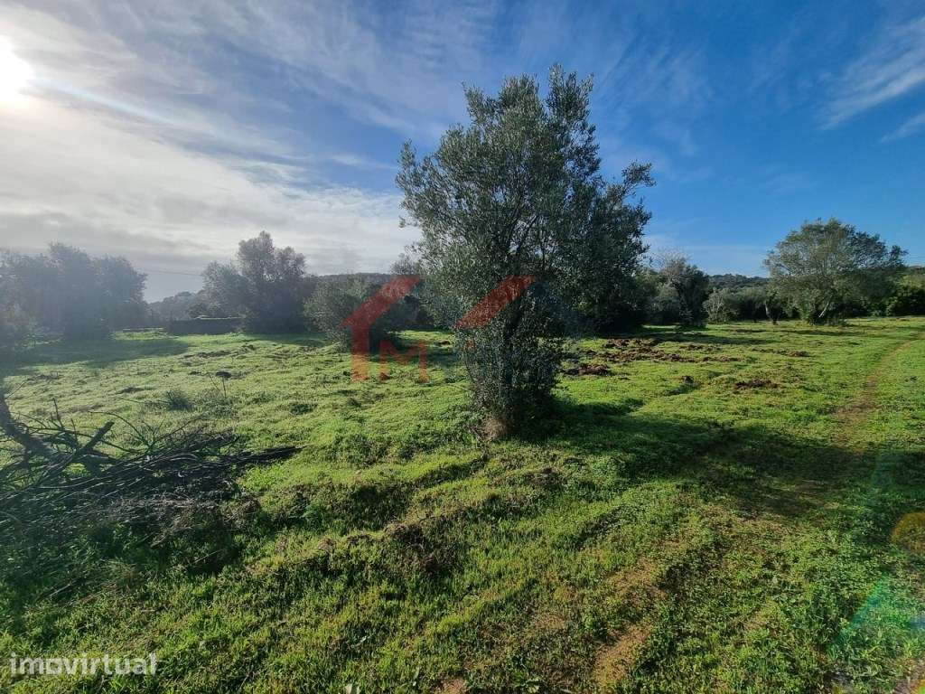 Terreno com projeto aprovado para construção - Loulé - Grande imagem: 3/7