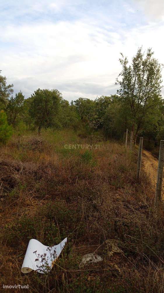 Terreno misto em Salgueiro do Campo, Castelo Branco - Grande imagem: 4/12