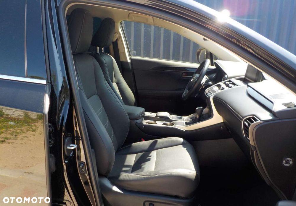 Lexus NX - 15