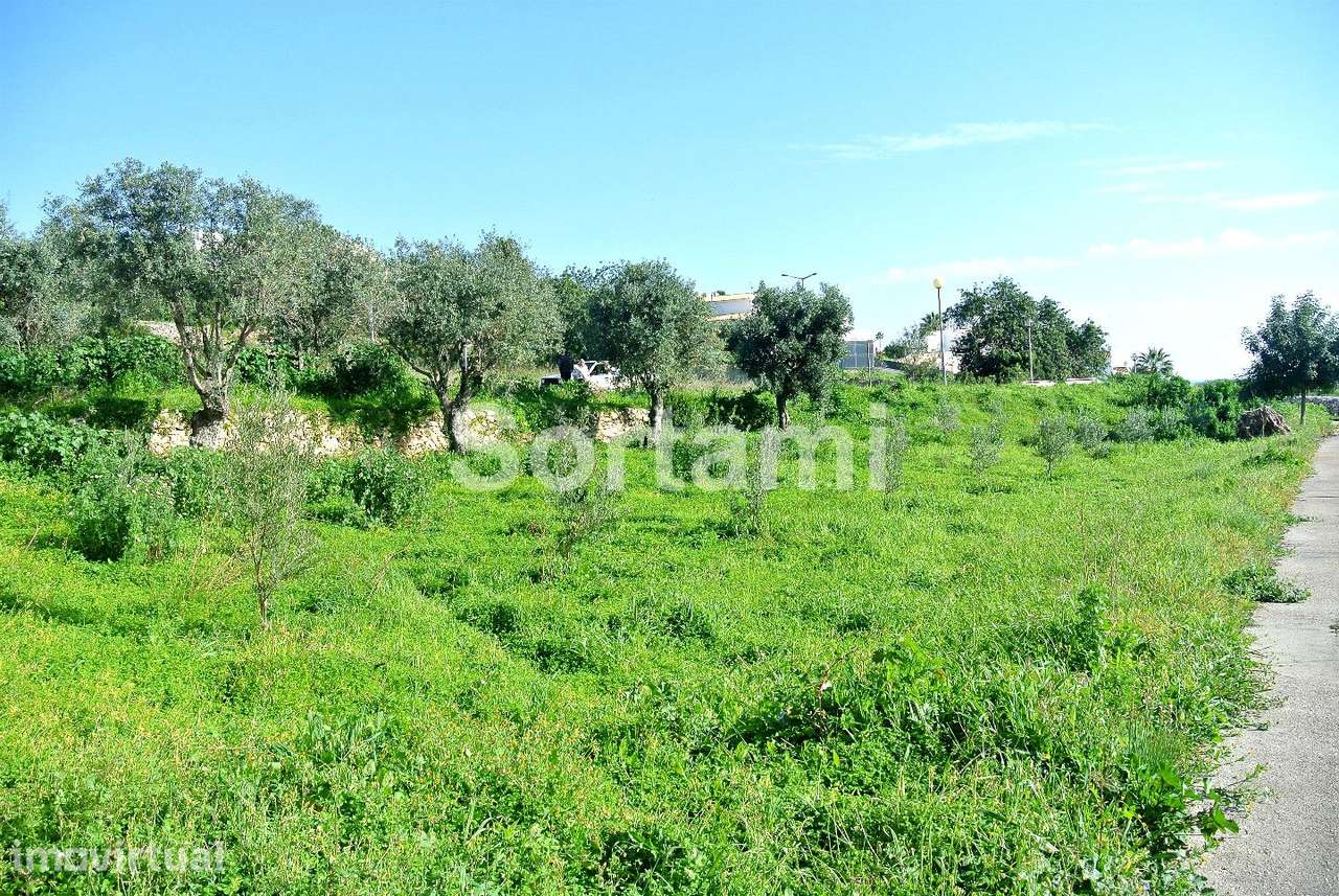 Terreno Para Construção  Venda em Albufeira e Olhos de Água,Albufeira - Grande imagem: 2/8