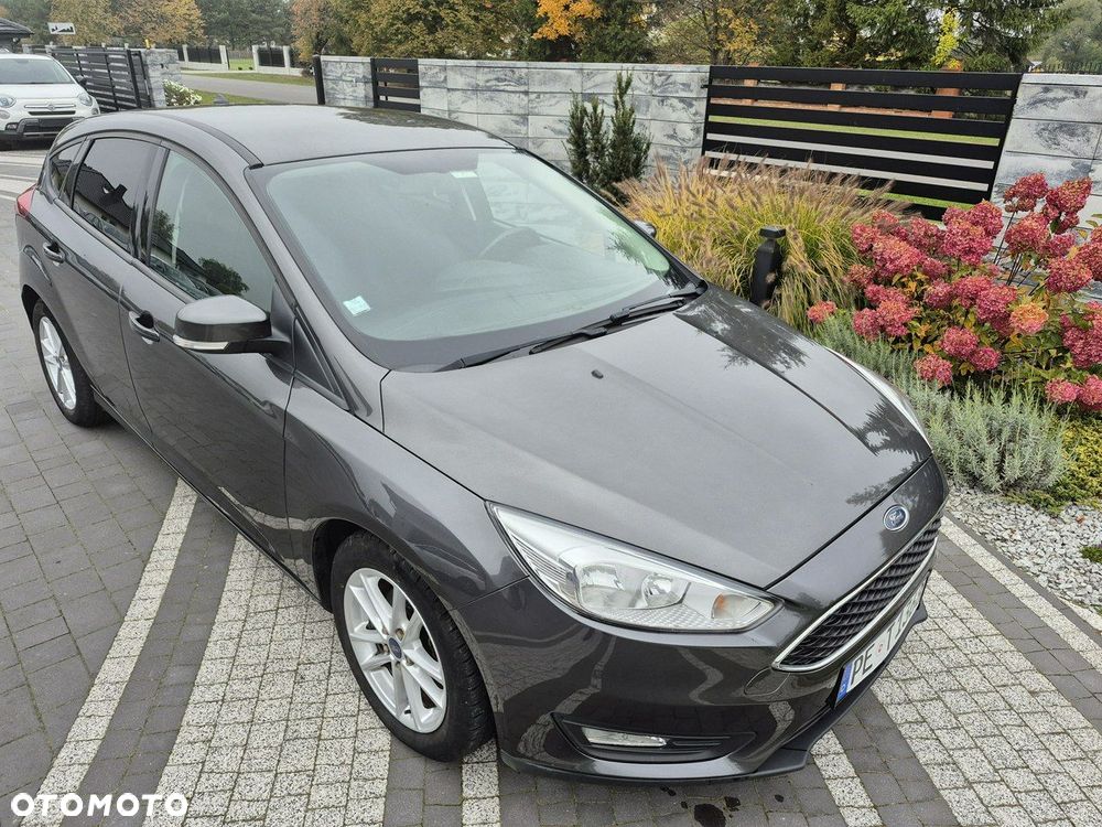 Ford Focus - 13