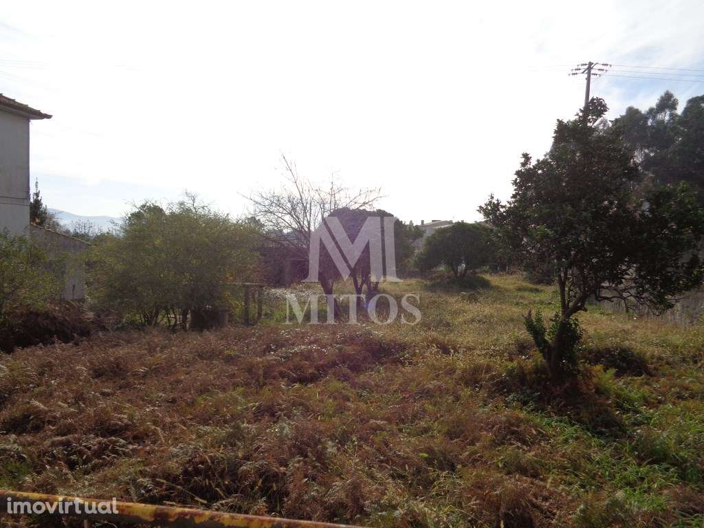 Terreno para construção - Vila de Punhe - Grande imagem: 2/3