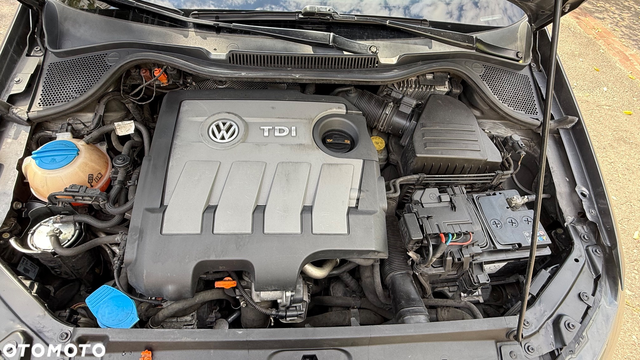 Volkswagen Polo - 21
