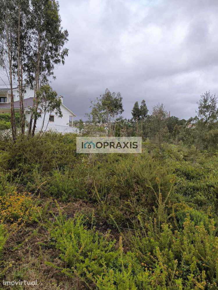Terreno para construção em Carriço, Barracão -Leiria - Grande imagem: 5/6