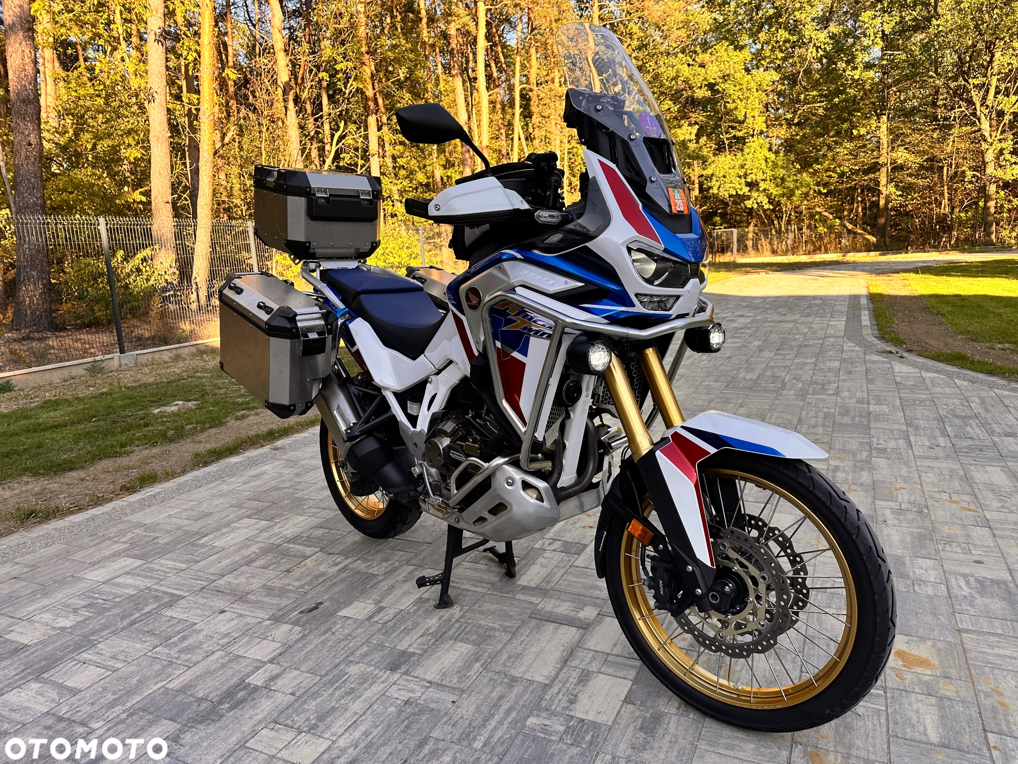 Honda CRF