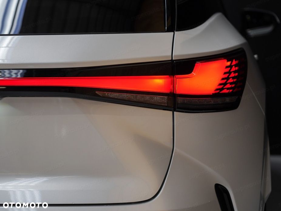 Lexus RX - 12
