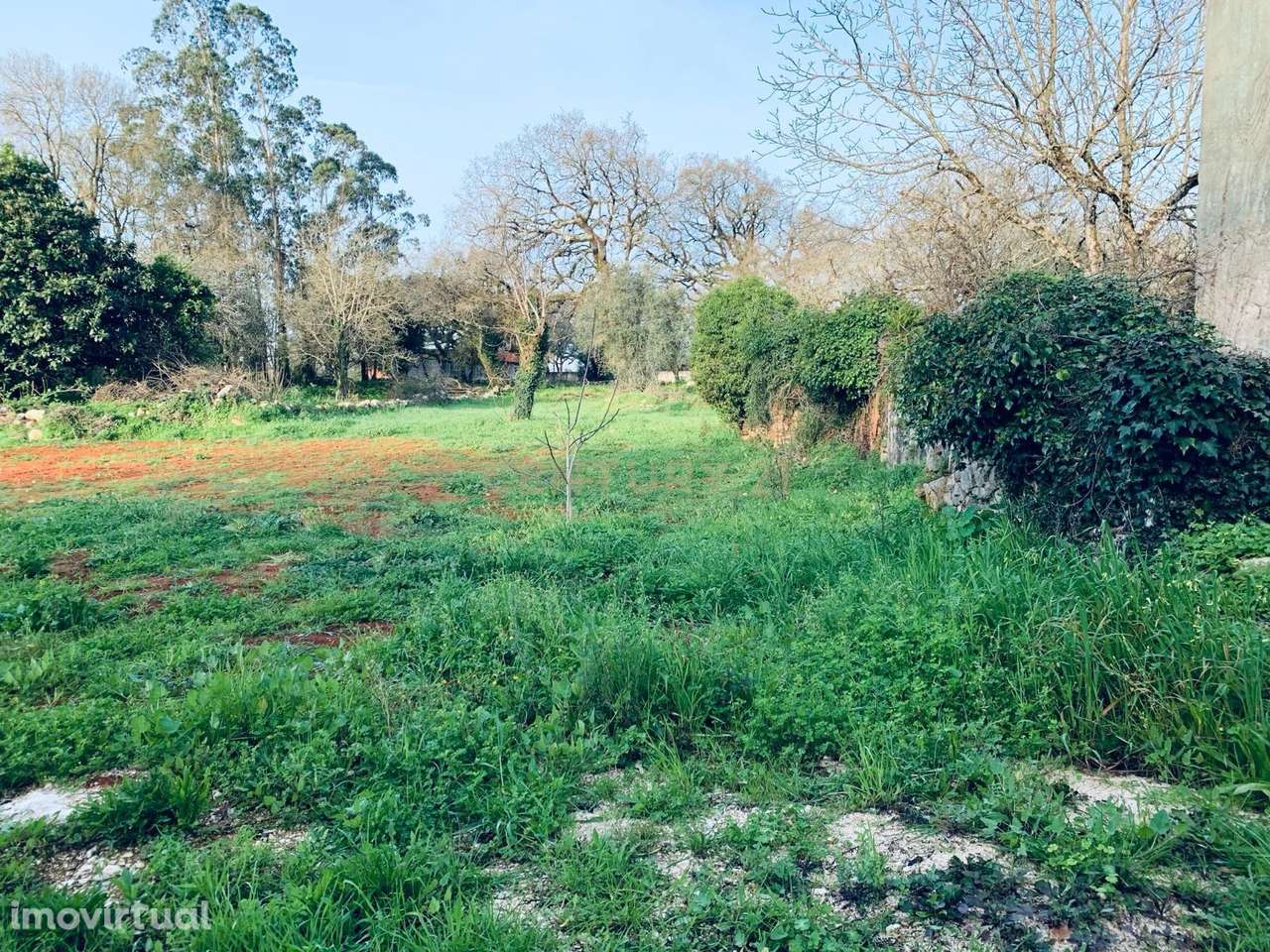 Moradia T4 - Grande imagem: 3/4