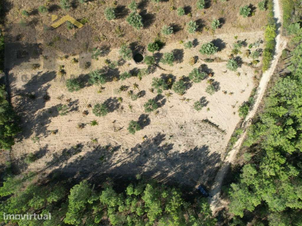 Quintinha em Salgueiro do Campo, Castelo Branco - Grande imagem: 2/15