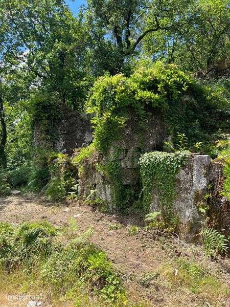 Vendo casa e terrenos - Grande imagem: 4/7