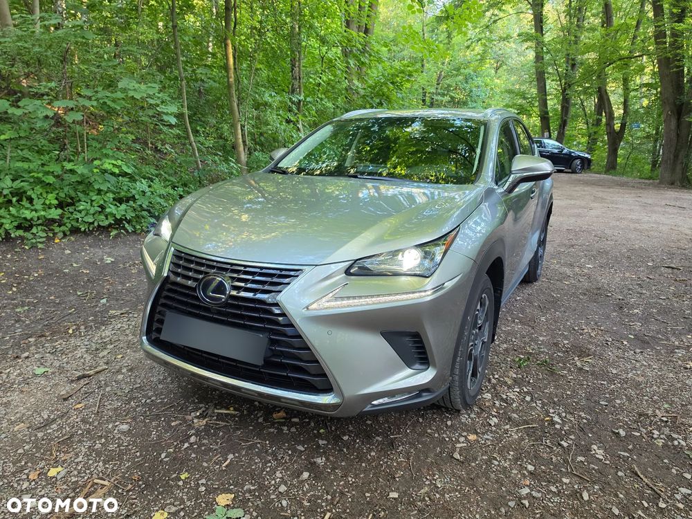 Lexus NX 300h Elegance AWD - 10