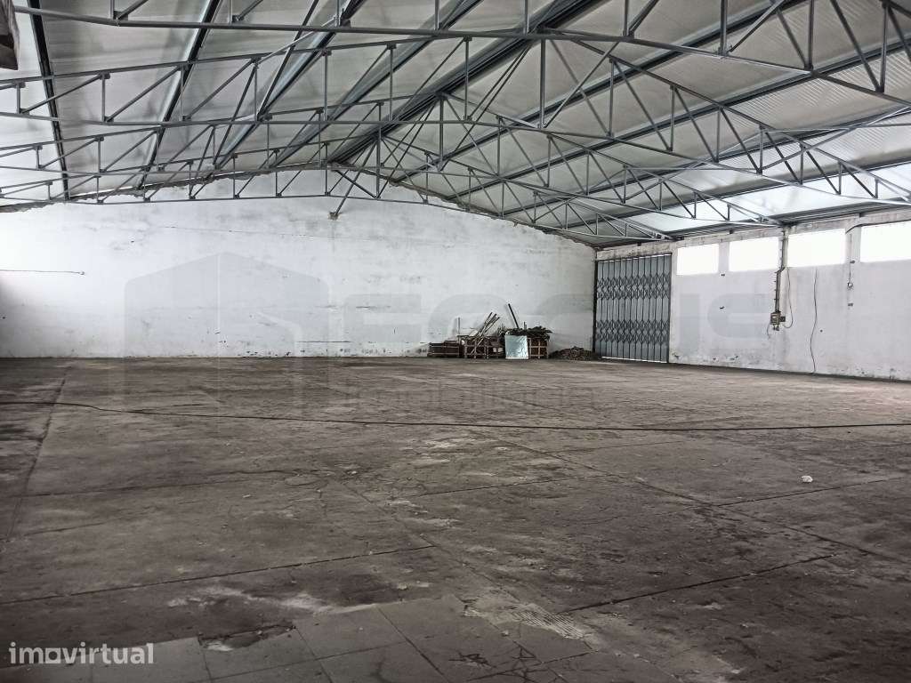 Armazém para venda - Zona Industrial Albergaria-a-Velha - Grande imagem: 3/9