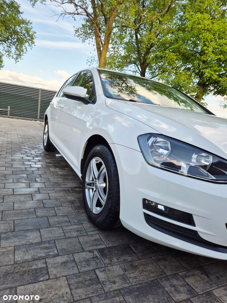 Volkswagen Golf - 14